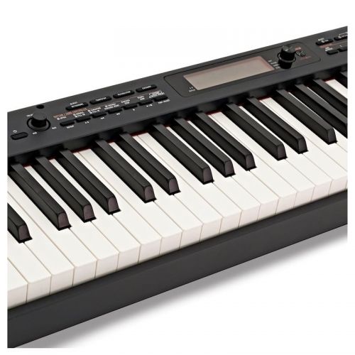 Цифровое пианино Casio CDP-S350BK
